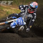 mx (2)